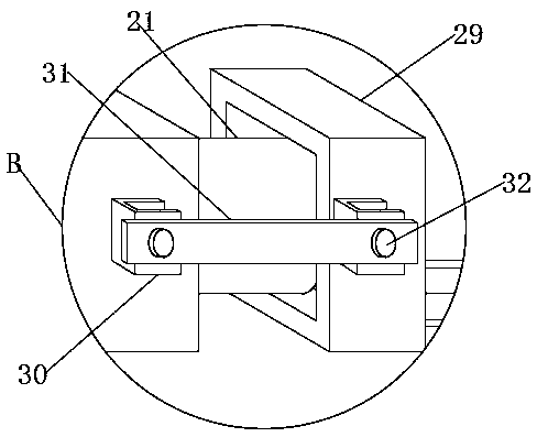 Hornet bee pupa rotating type drying device