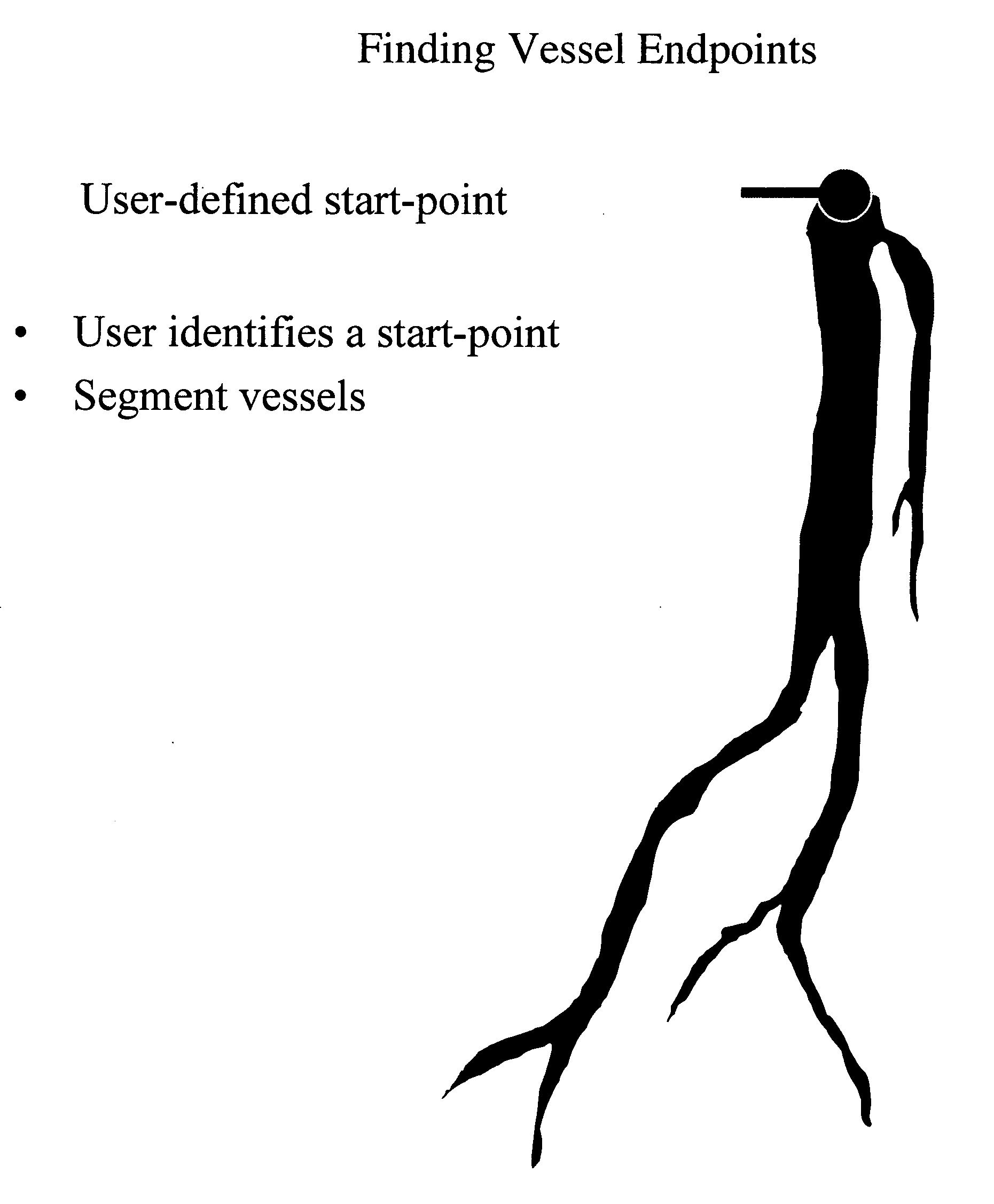 Method to identify arterial and venous vessels