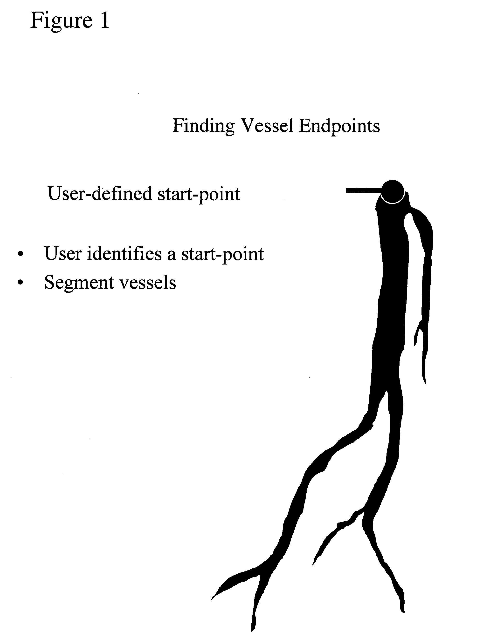 Method to identify arterial and venous vessels