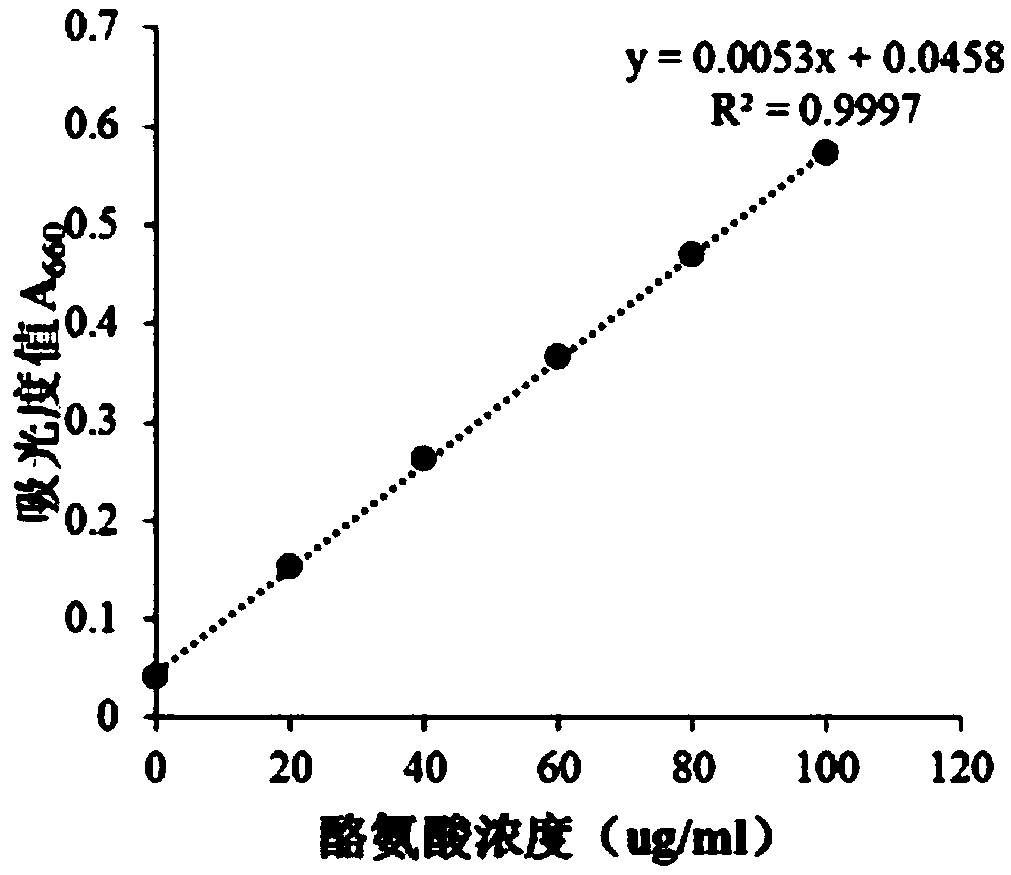 Method for enhancing efficacy of enzyme using lactobacillus bulgaricus