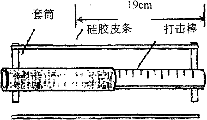 Application of medicinal composition in preparing medicaments for treating fracture