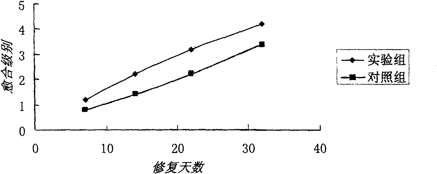 Application of medicinal composition in preparing medicaments for treating fracture