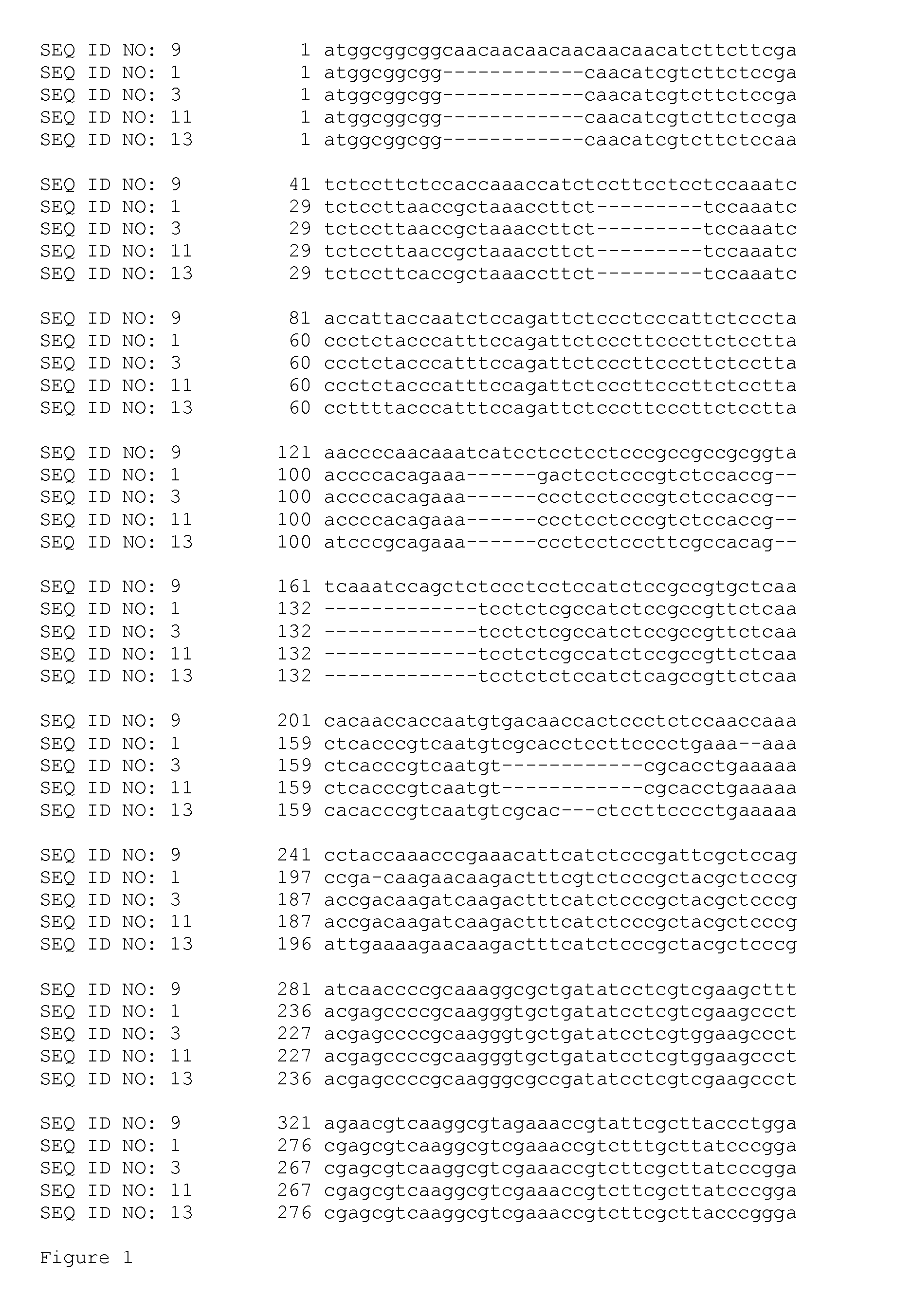 Als inhibitor herbicide tolerant mutant plants