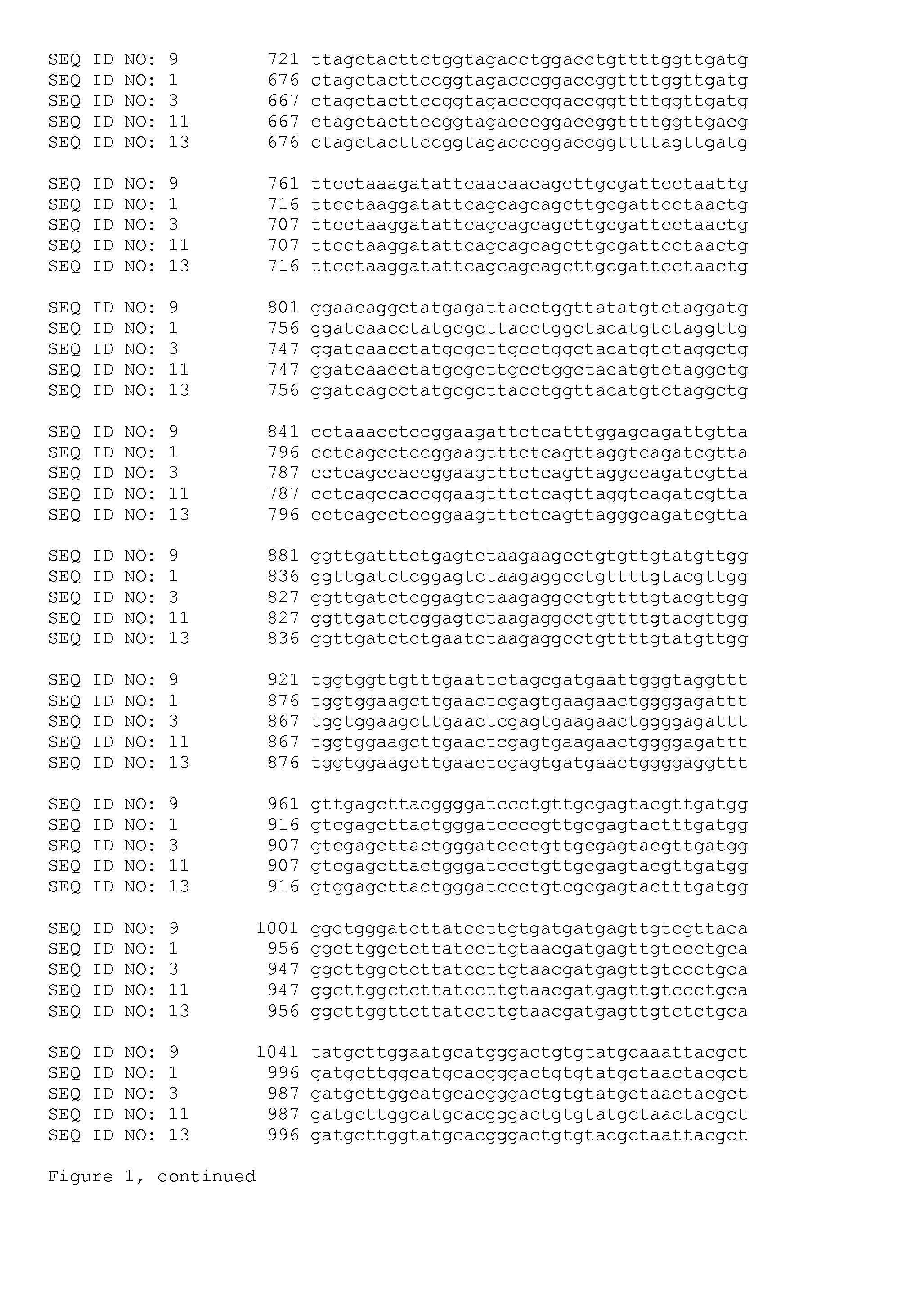 Als inhibitor herbicide tolerant mutant plants