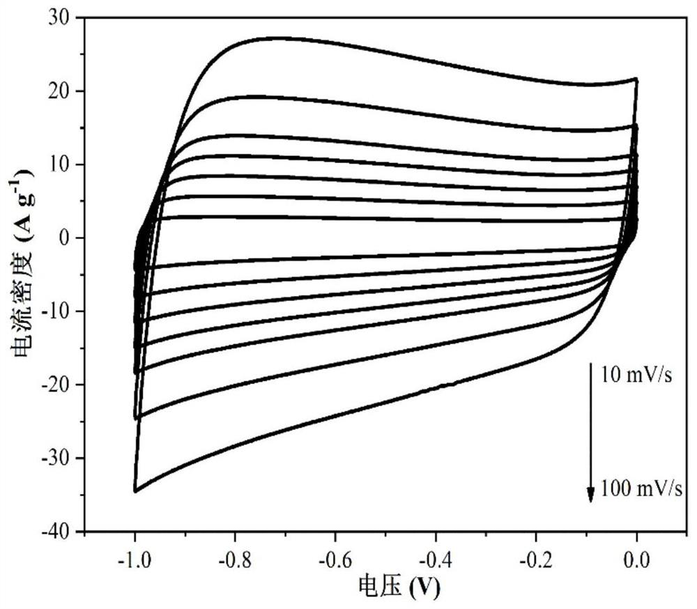 Biomass porous carbon nanofoam as well as preparation method and application thereof