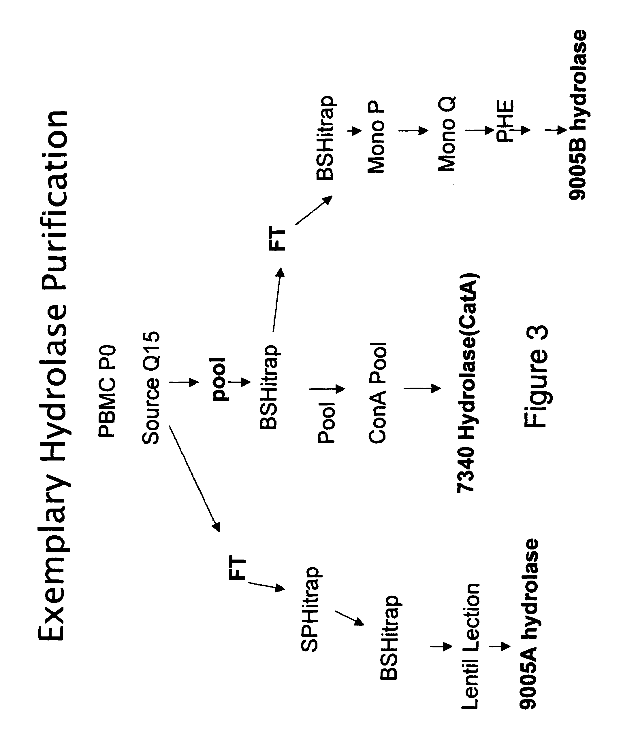 Methods and compositions for identifying therapeutic compounds with GS-9005 ester hydrolase A