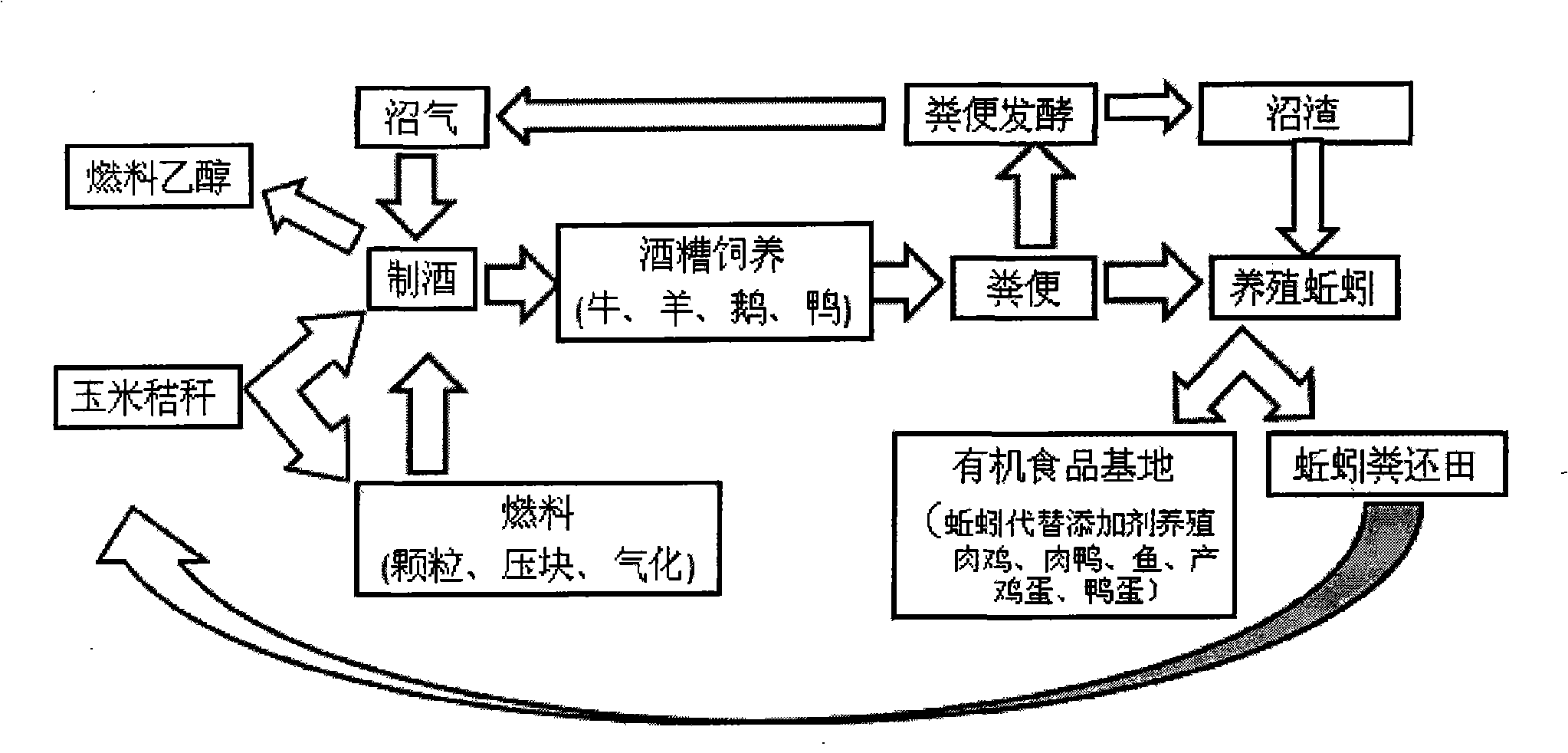 High-efficiency ecological recycling system of maize straw and technological process