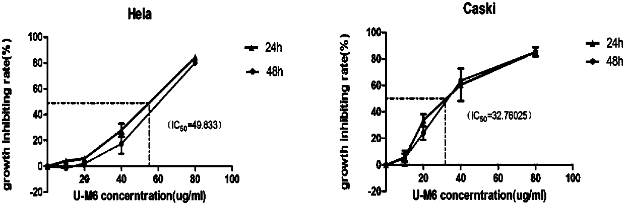 Novel recombinant bee venom polypeptide as well as preparation method and application of novel recombinant bee venom polypeptide