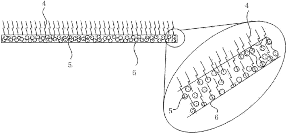 Antibacterial shell fabric and production method thereof