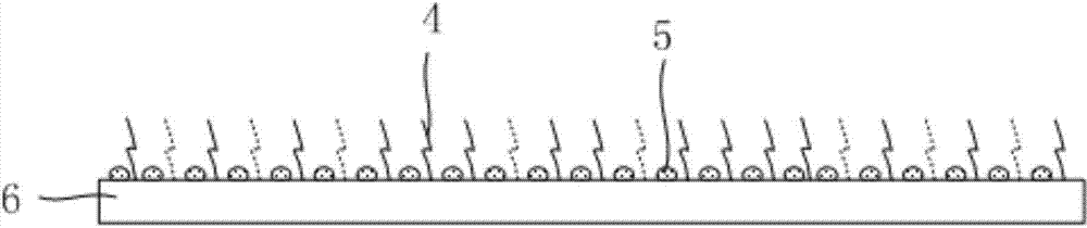 Antibacterial shell fabric and production method thereof