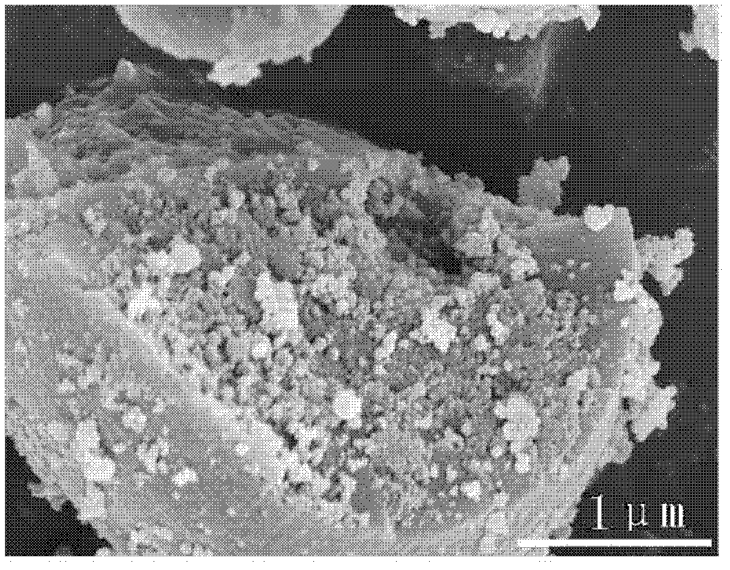 Method for preparing nitrogenous graphitized hollow carbon microspheres