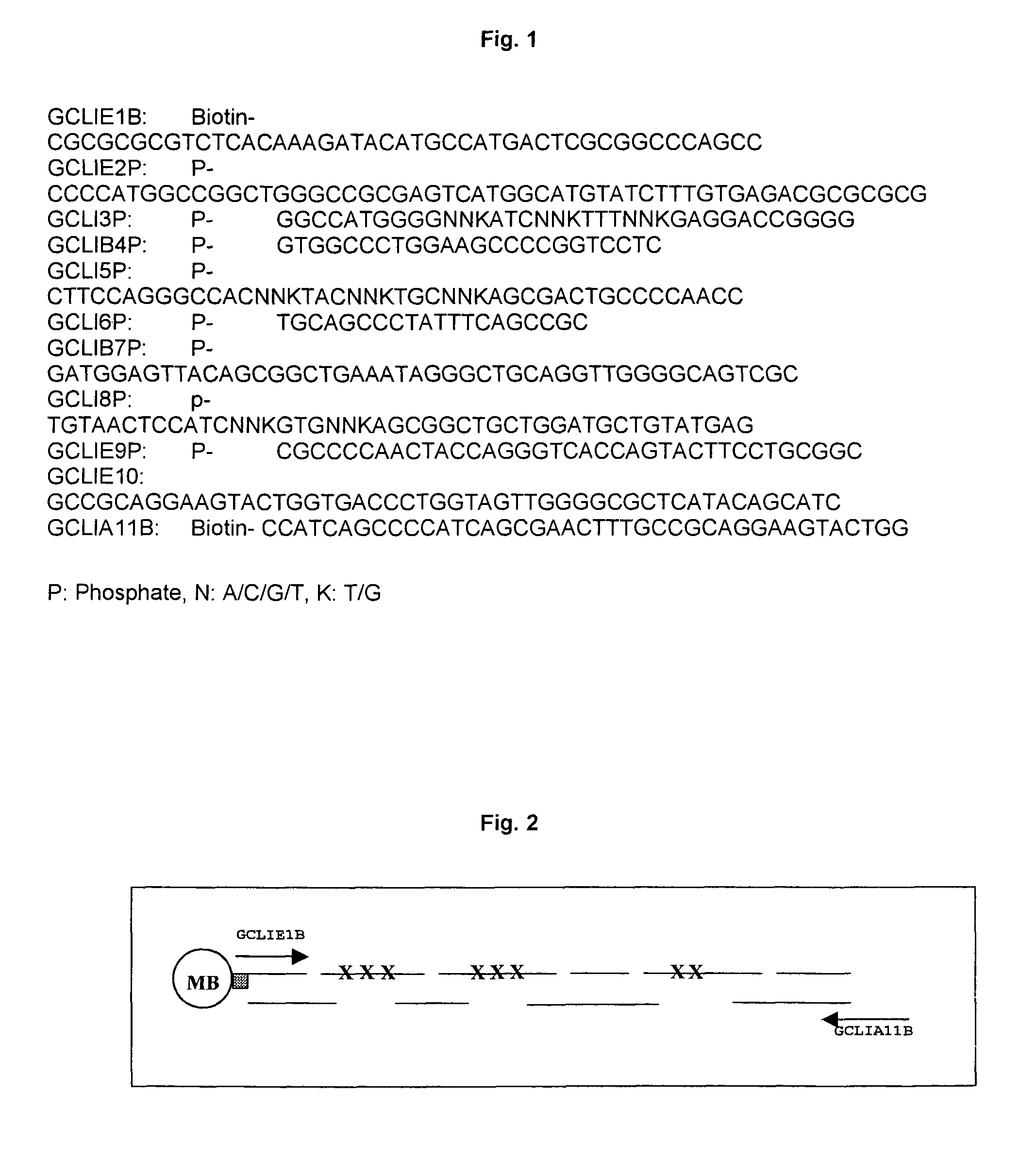 Fabrication of beta-pleated sheet proteins with specific binding properties