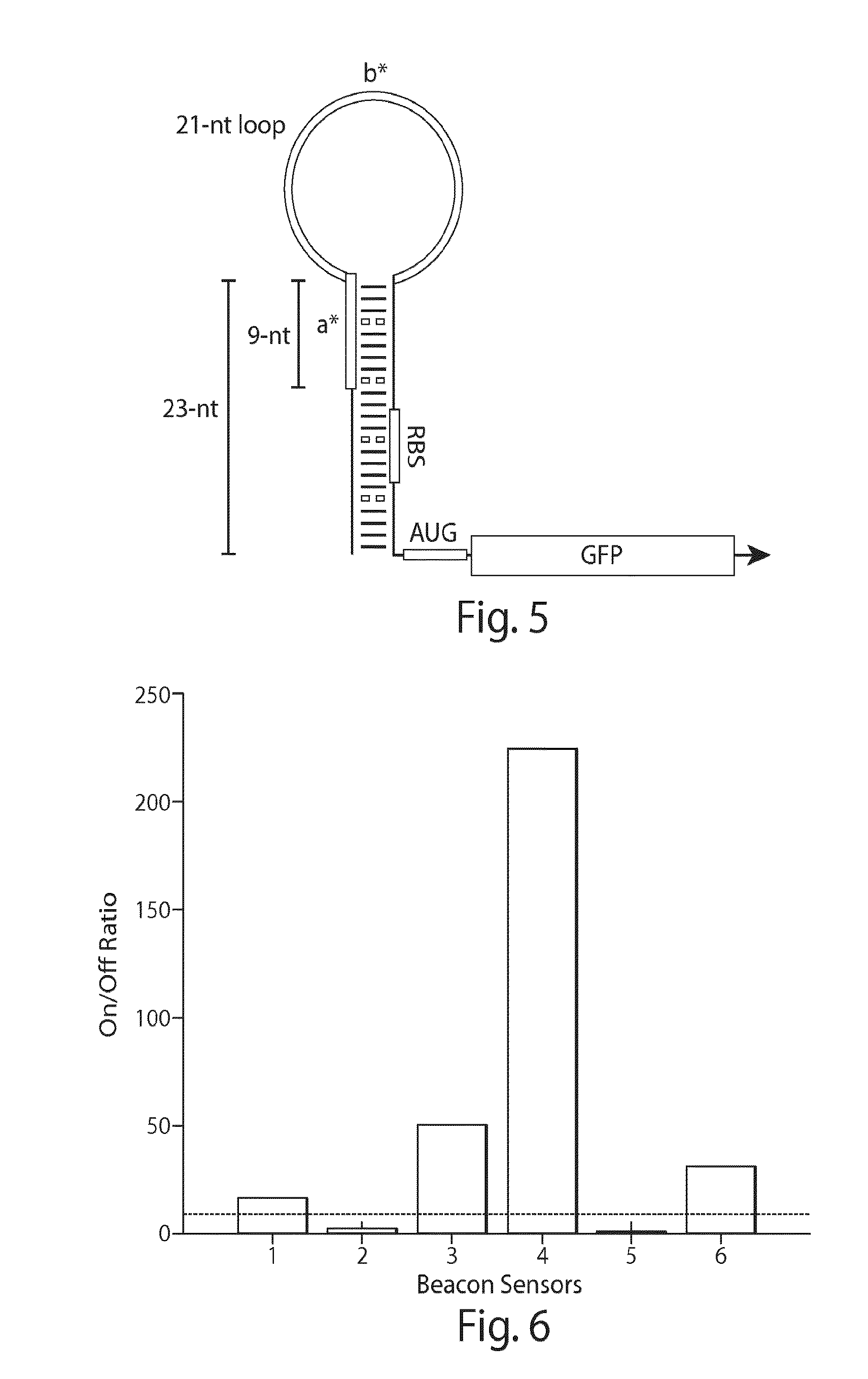 Riboregulator compositions and methods of use