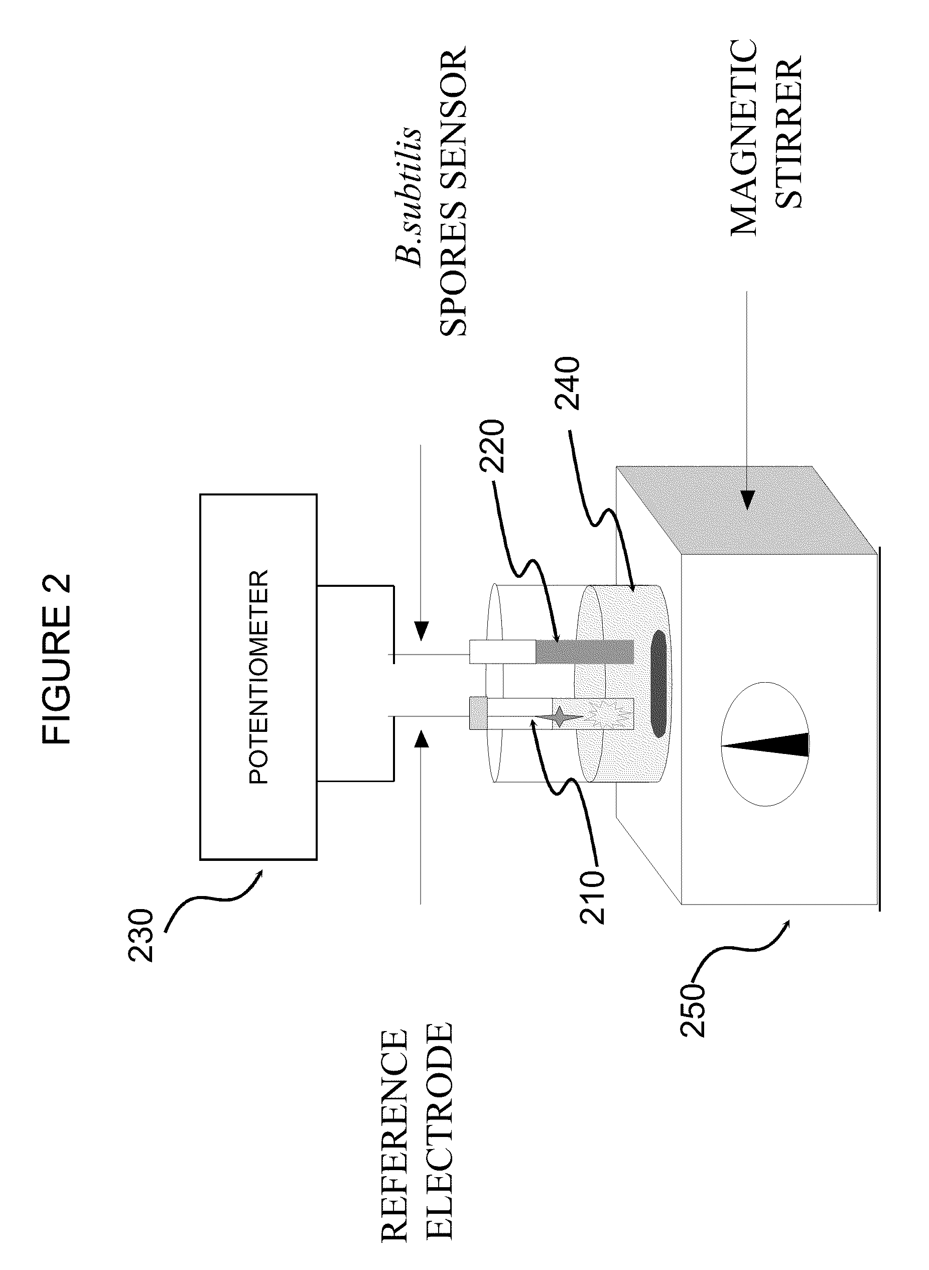 Methods for detecting and/or quantifying a concentration of specific bacterial molecules using bacterial biosensors