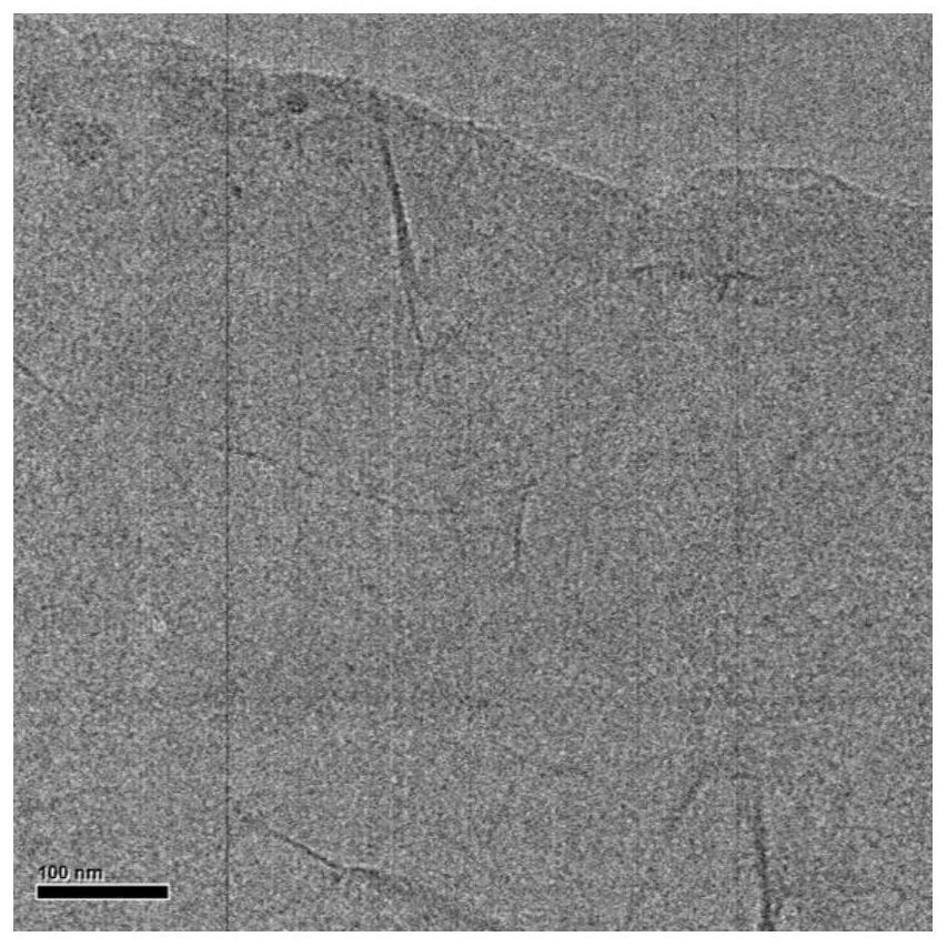 Preparation method and application of iron atom loaded graphene-based nano material