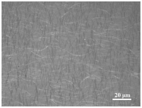 Preparation method of high-light transmission electromagnetic shielding film