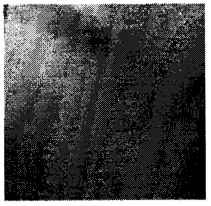 Method for preparing color-adjustable gel photonic crystal film