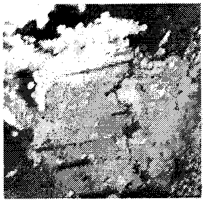 Method for preparing color-adjustable gel photonic crystal film