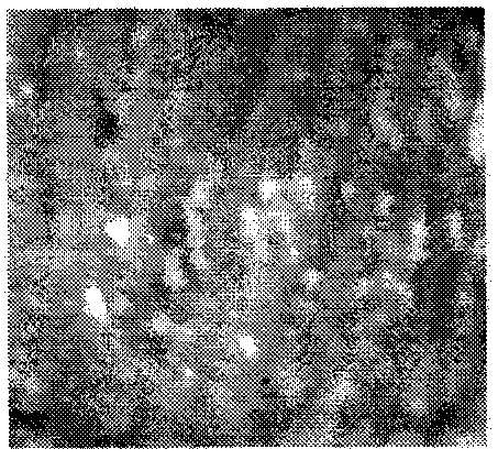 Method for preparing color-adjustable gel photonic crystal film