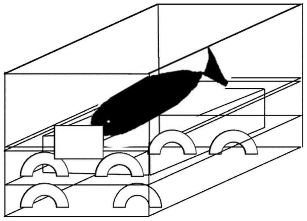 Preparation method of sample for evaluating fish quality