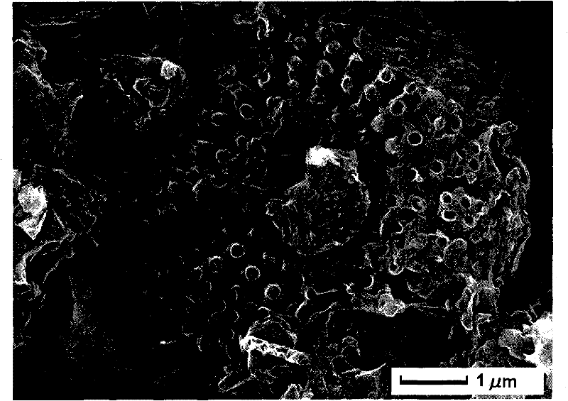 Method for preparing porous carbon and white carbon black by using diatomite