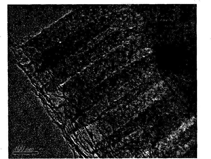 Method for preparing porous carbon and white carbon black by using diatomite