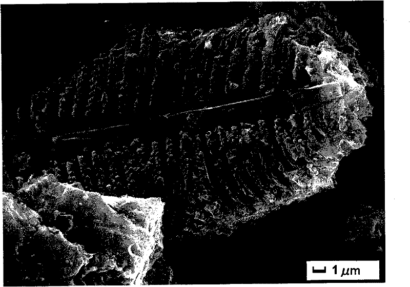 Method for preparing porous carbon and white carbon black by using diatomite