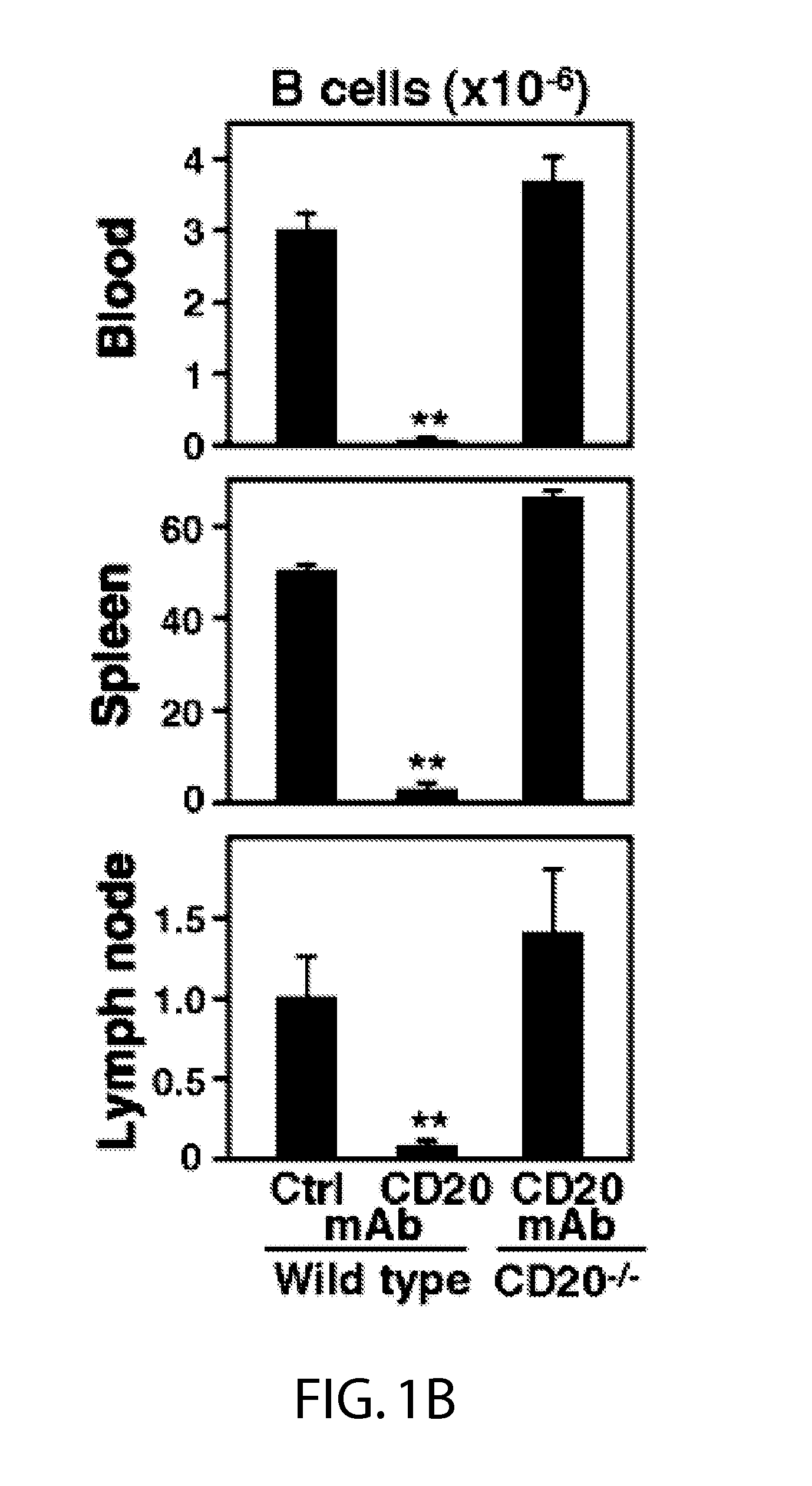 Methods and compositions combining immunotherapy with monocyte activation