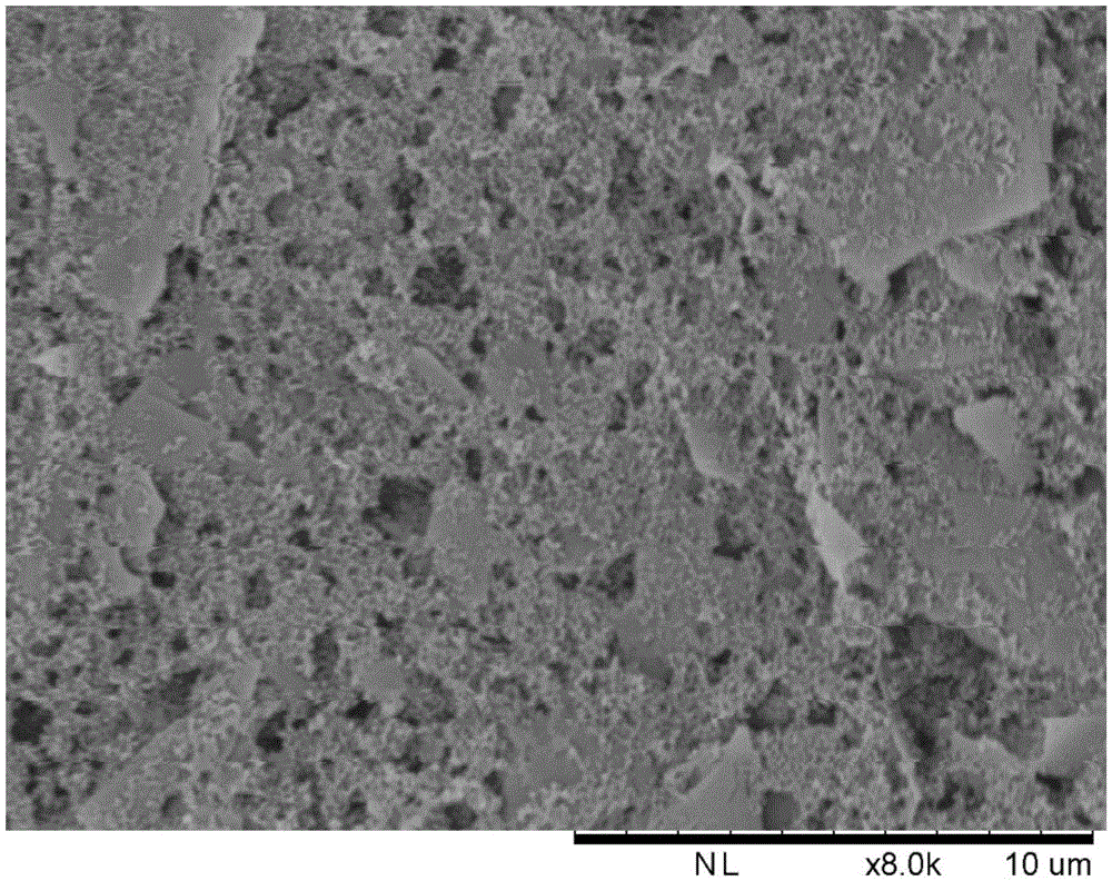 Conductive coating based on noble-metal-loaded polymer nanoparticle and preparation method of conductive coating