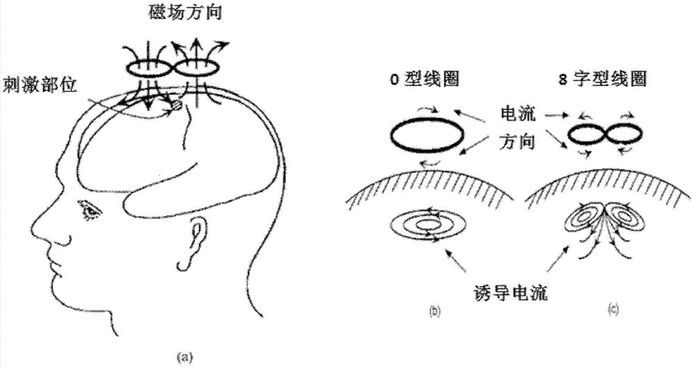 Dynamic variable multichannel transcranial magnetic stimulation coil array and control method thereof