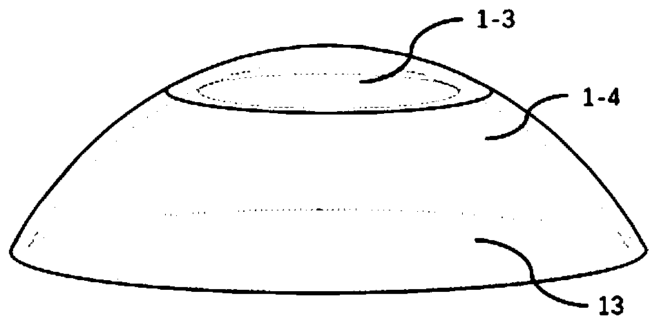 Multifunctional corneal graft piece