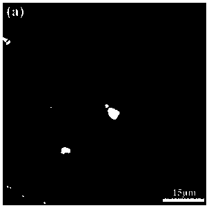 Wrought magnesium alloy containing rare earth cerium and yttrium and having high yield ratio