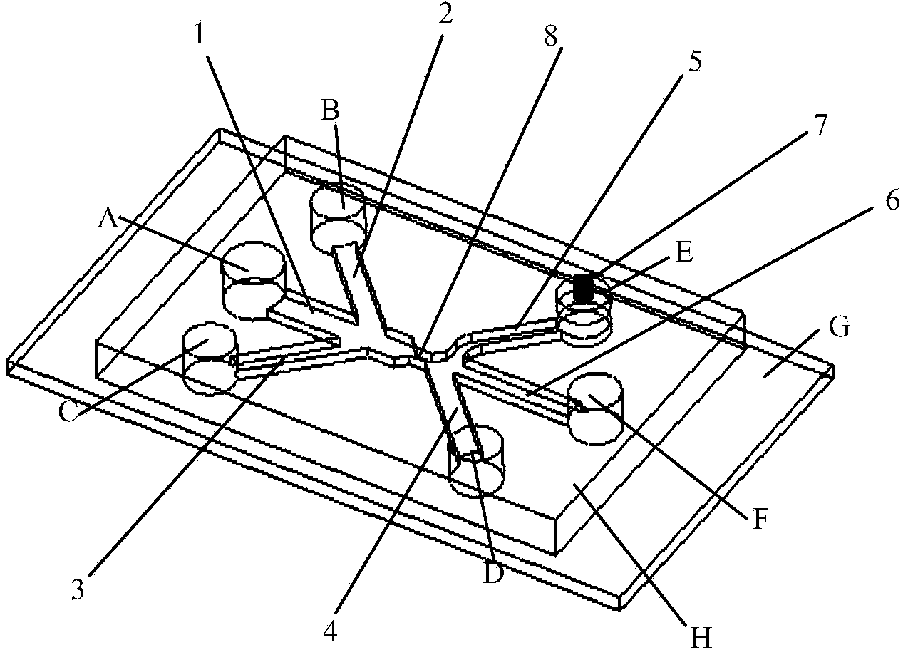 Device and method for full-automatically sorting circulating tumor cells on micro-fluidic chip