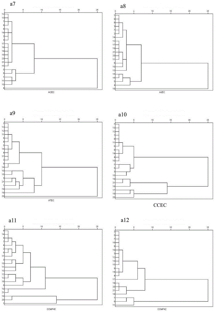 Construction and application of a three-dimensional fluorescence standard spectral library for the identification of fish-toxic algae