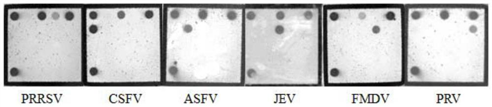 Kit for simultaneously detecting six common porcine viruses in Fukuotou raw material and product of Fukuotou raw material