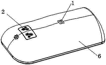 Portable cardiopulmonary detection training instrument