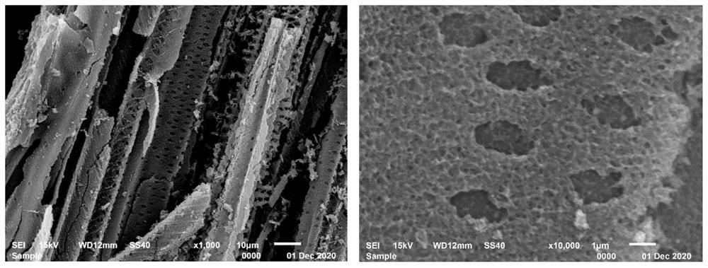 Biomass-based carbon material supported nano-nickel catalyst, preparation method and application thereof