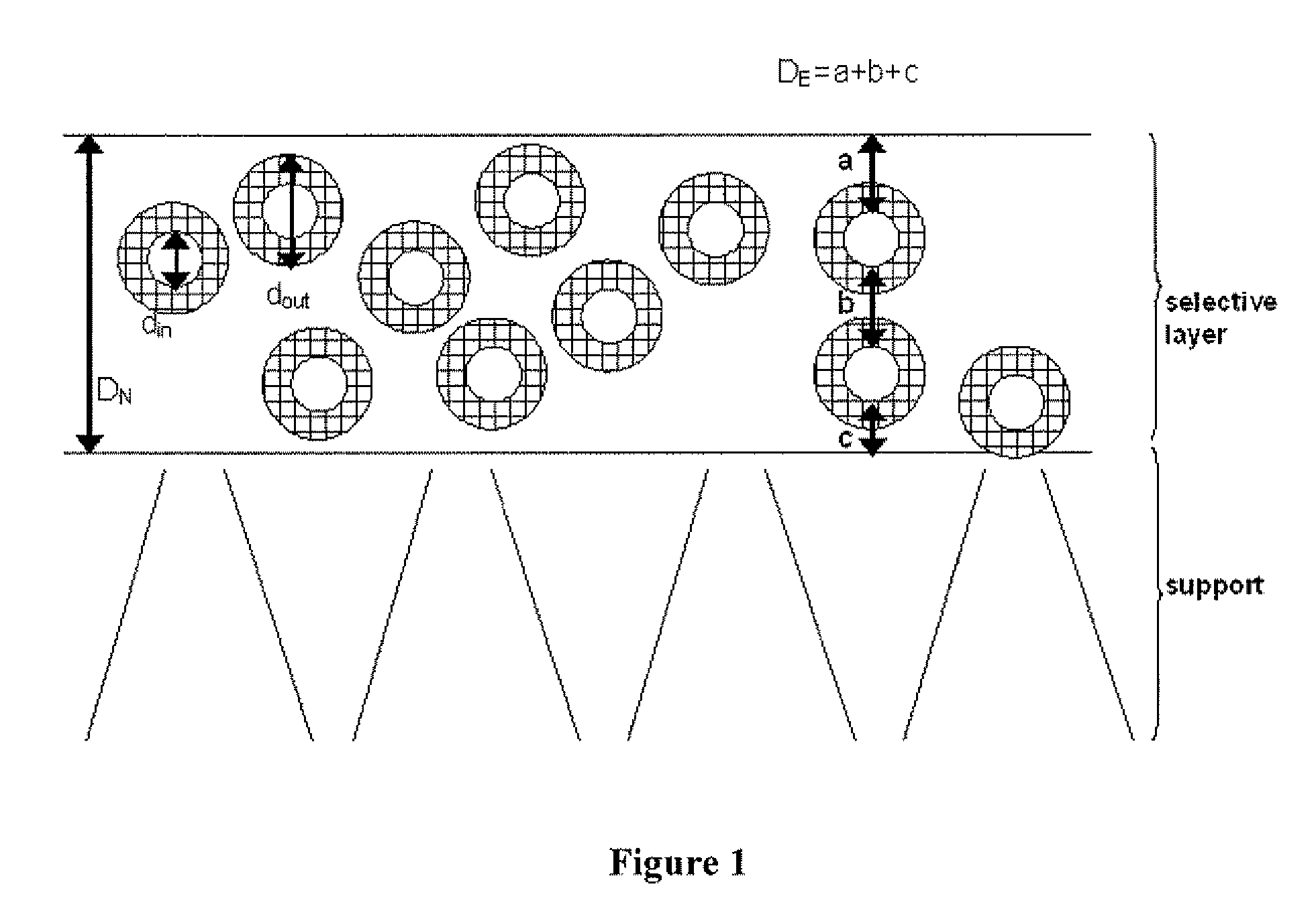 Membranes filled with porous hollow particles