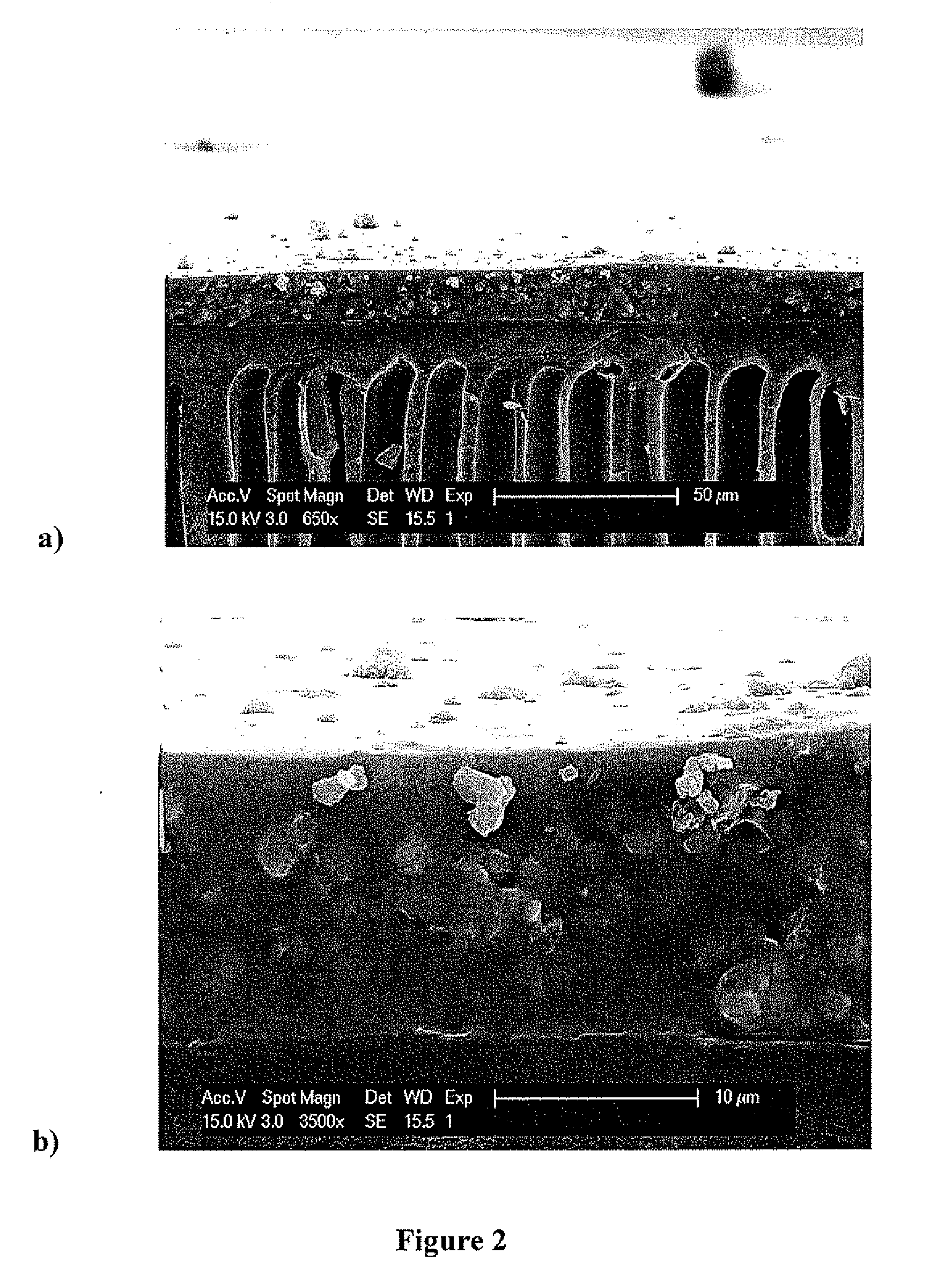 Membranes filled with porous hollow particles