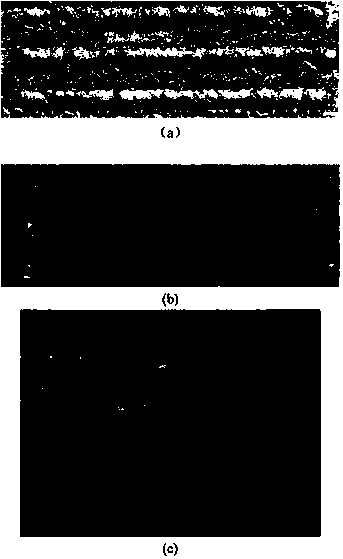 Laser cladding metal/ceramic composite coating and preparation technology thereof