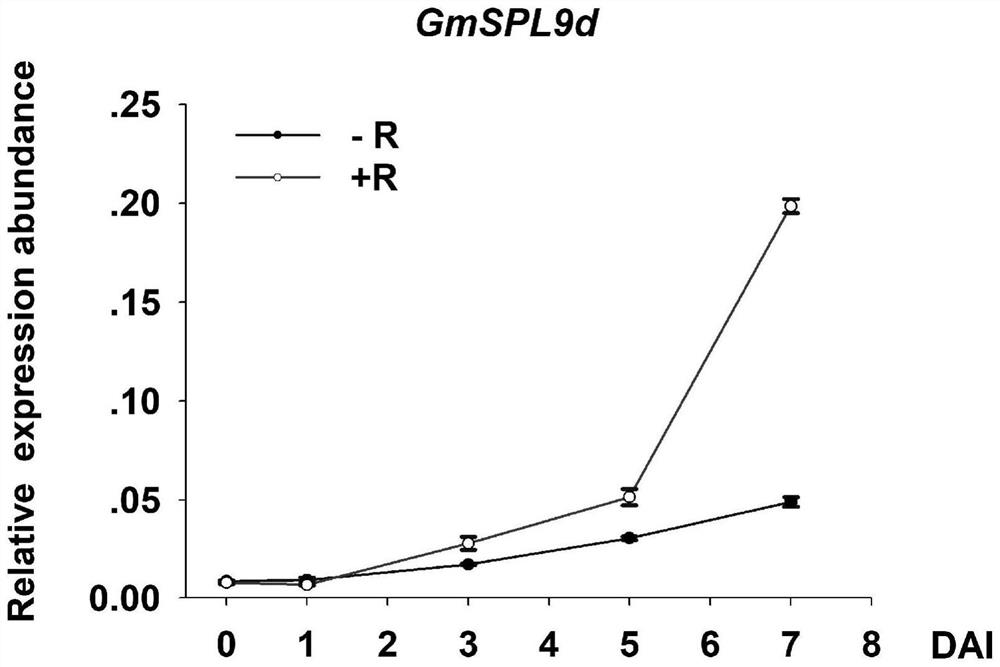 A method for improving plant nodulation nitrogen fixation efficiency