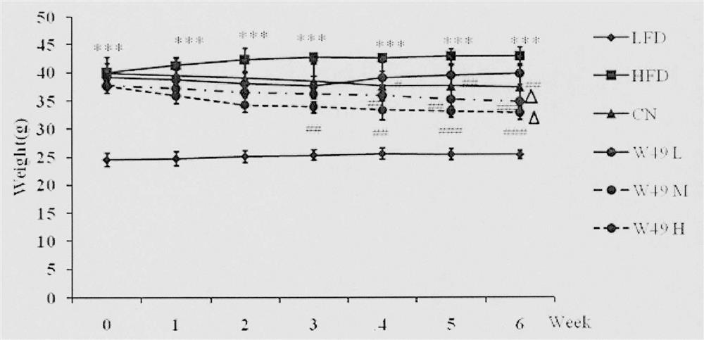 Flavone skeleton transition derivative and medical application thereof