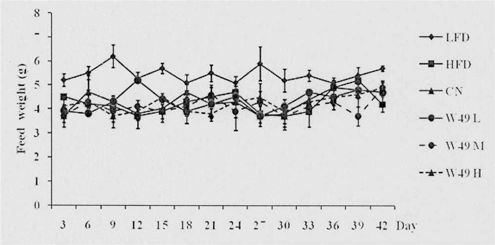 Flavone skeleton transition derivative and medical application thereof