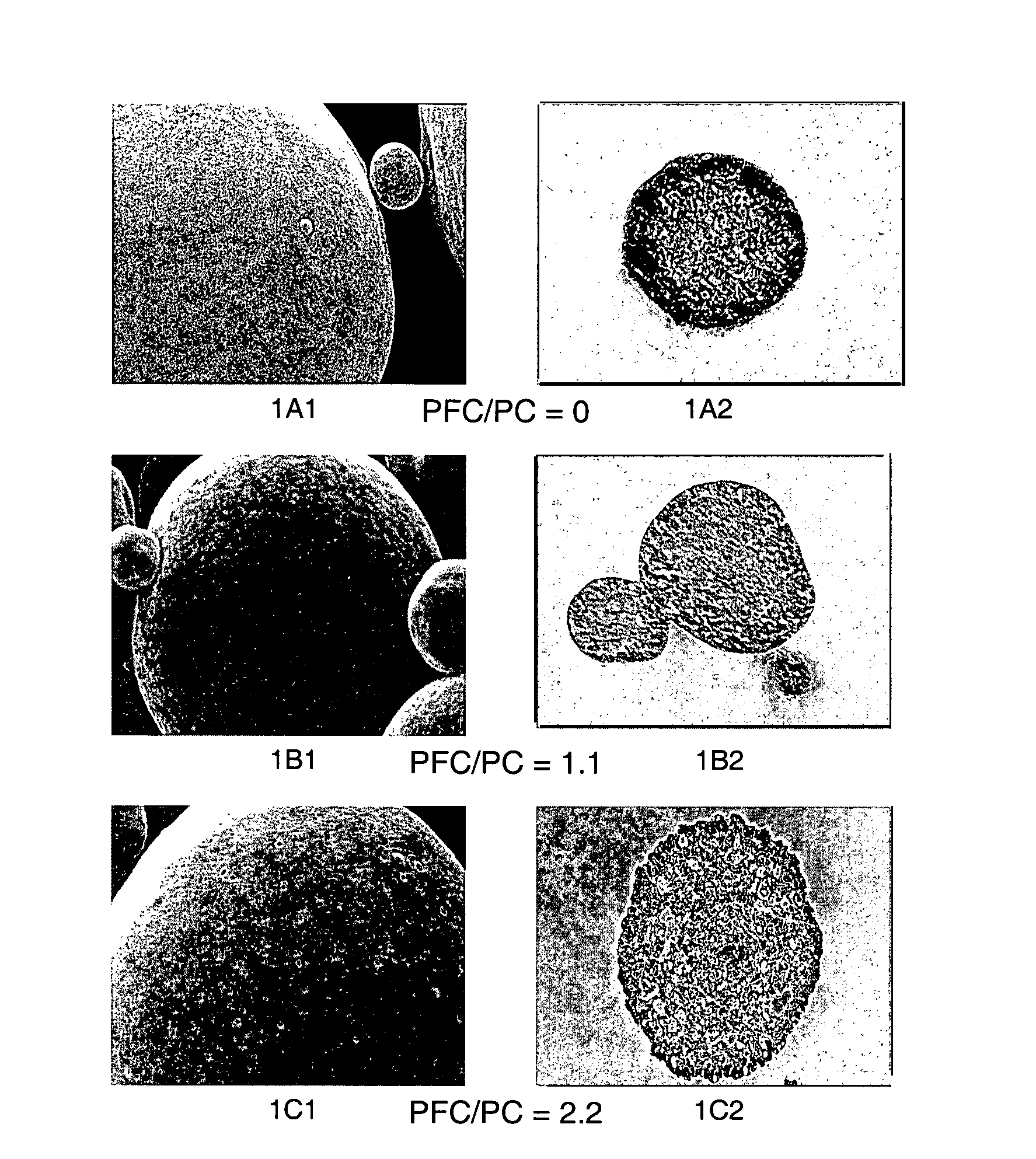 Engineered particles and methods of use