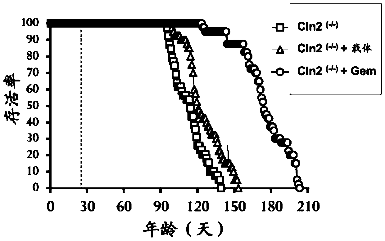 Improvement in locomotor activity and increase in longevity of late infantile neuronal ceriod lipofuscinosis subjects by gemfibrozil