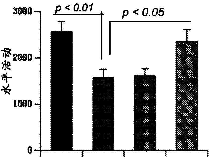 Improvement in locomotor activity and increase in longevity of late infantile neuronal ceriod lipofuscinosis subjects by gemfibrozil