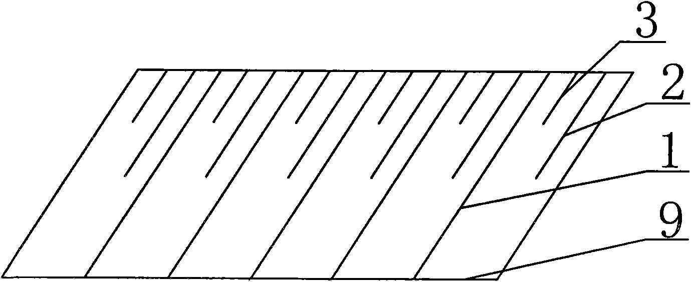 Multistage sloping plate water treatment device