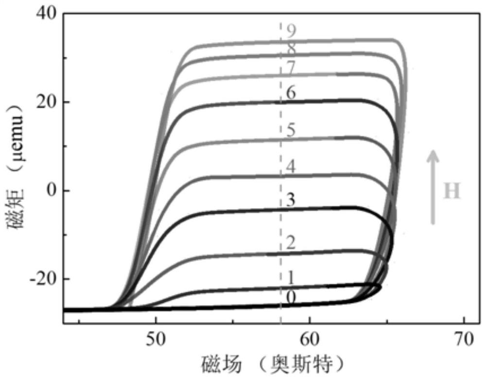 A Method of Controlling Free Layer Domain Structure to Realize Ten-state Data Storage in Magnetic Tunnel Junction