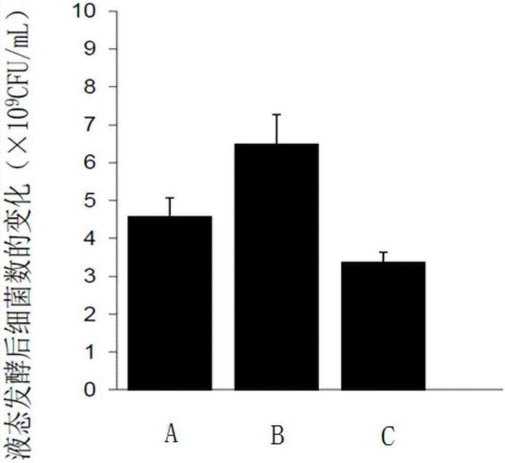 Preparation method of traditional Chinese medicinal probiotic fermentation metabolite for preventing and treating bacterial diarrhea of piglets