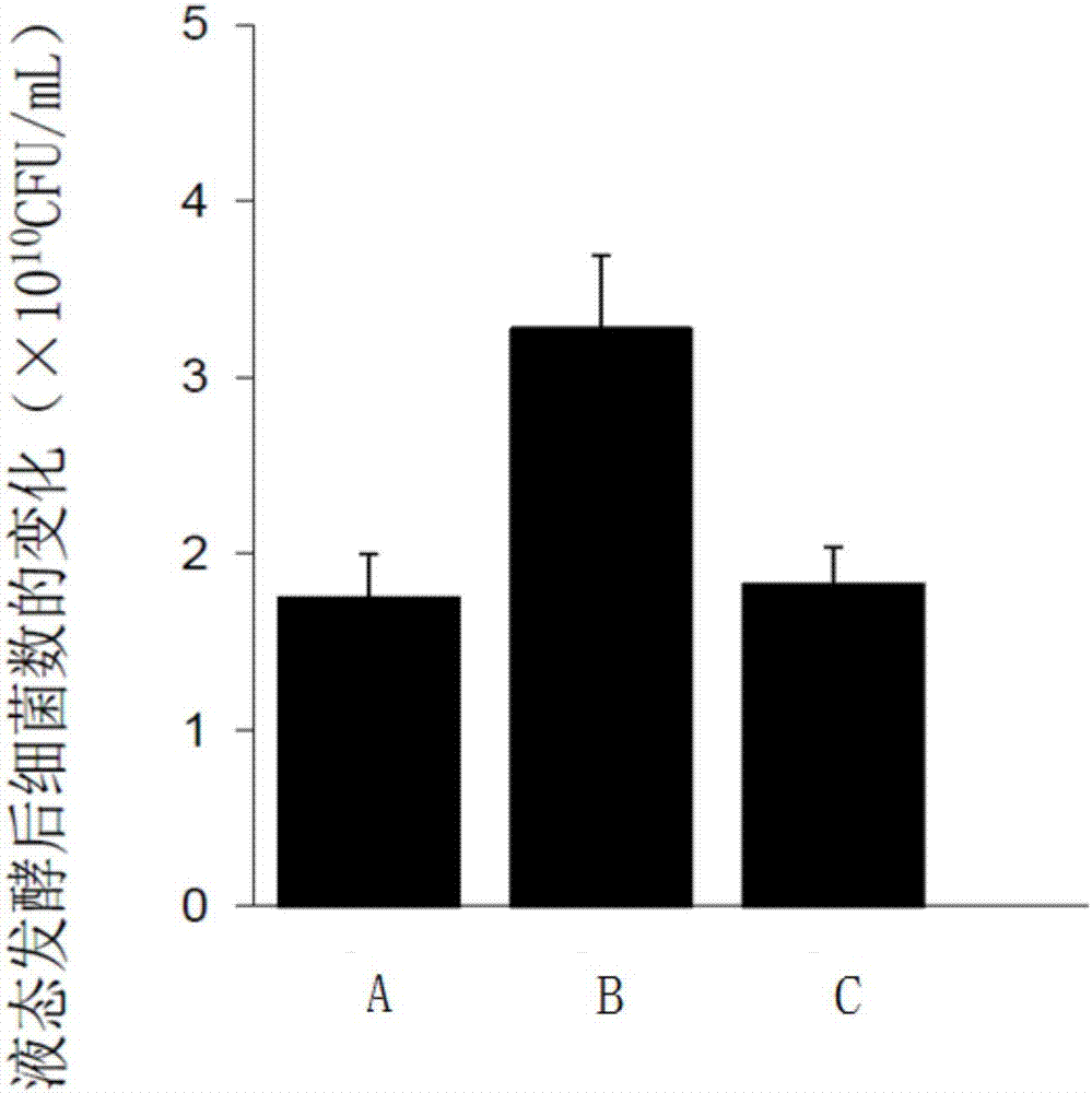 Preparation method of traditional Chinese medicinal probiotic fermentation metabolite for preventing and treating bacterial diarrhea of piglets